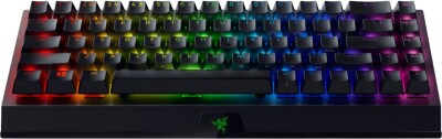 Razer BlackWidow V3 Mini HyperSpeed Mechanical Gaming Keyboard, Green Switch, US Layout, Wireless, Black